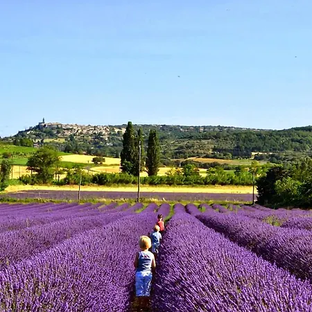 度假居 Amazing In St Victor La Coste Palus